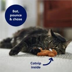 Frisco Squirrel Plush Cat Toy With Refillable Catnip -Frisco 161271 PT3. AC SS1800 V1678723897