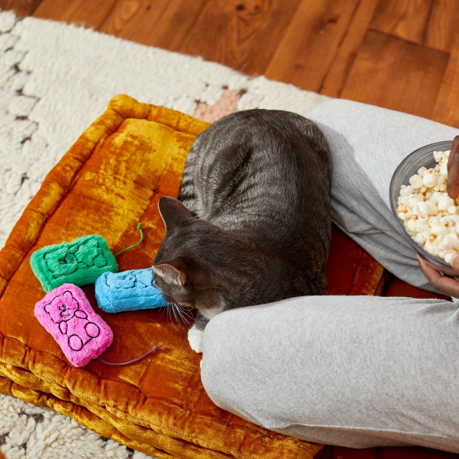 Frisco Zoomies & Chill Gummy Bear Plush Cat Toy With Catnip 3 Frisco Zoomies & Chill Gummy Bear Plush Cat Toy With Catnip - Image 3