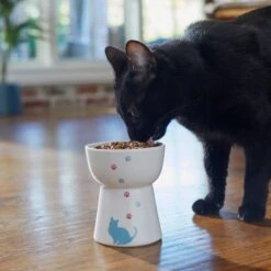 Frisco Cat Print Non-Skid Elevated Ceramic Cat Bowl, Tall 8 Frisco Cat Print Non-Skid Elevated Ceramic Cat Bowl, Tall -Frisco 256099 PT2. AC SS1800 V1616522587