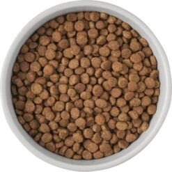 Frisco Cat Print Non-Skid Elevated Ceramic Cat Bowl, Tall 10 Frisco Cat Print Non-Skid Elevated Ceramic Cat Bowl, Tall -Frisco 256099 PT4. AC SS1800 V1616522538