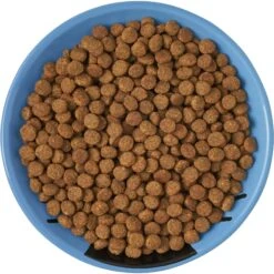 Frisco Cat Face Non-skid Ceramic Cat Dish, Blue 11 Frisco Cat Face Non-skid Ceramic Cat Dish, Blue -Frisco 256101 PT5. AC SS1800 V1615321282