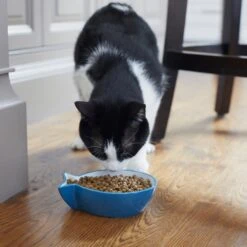 Frisco Fish Shaped Non-skid Ceramic Cat Bowl 12 Frisco Fish Shaped Non-skid Ceramic Cat Bowl -Frisco 256111 PT6. AC SS1800 V1617037703