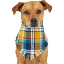 Frisco Blue/Yellow Plaid Dog & Cat Flannel Bandana -Frisco 267901 PT2. AC SS1800 V1637717796