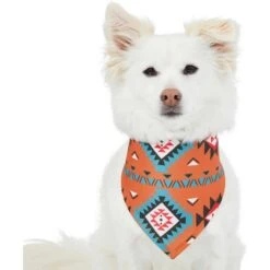 Frisco Southwest Dog & Cat Bandana -Frisco 267904 PT2. AC SS1800 V1637708793