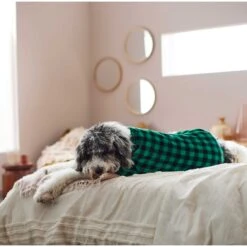 Frisco Dog & Cat Cozy Plush Fleece PJs, Green Plaid 12 Frisco Dog & Cat Cozy Plush Fleece PJs, Green Plaid -Frisco 268517 PT5. AC SS1800 V1637644798