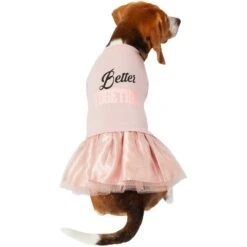 Frisco Better Together Dog & Cat Dress 9 Frisco Better Together Dog & Cat Dress -Frisco 268652 PT2. AC SS1800 V1637672268