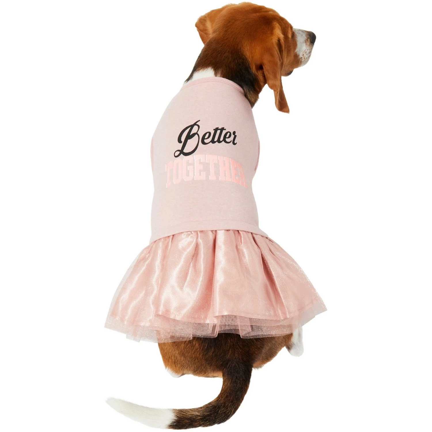 Frisco Better Together Dog & Cat Dress 3 Frisco Better Together Dog & Cat Dress - Image 3