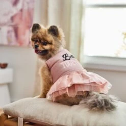 Frisco Better Together Dog & Cat Dress 12 Frisco Better Together Dog & Cat Dress -Frisco 268652 PT5. AC SS1800 V1637682716