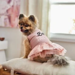 Frisco Better Together Dog & Cat Dress 13 Frisco Better Together Dog & Cat Dress -Frisco 268652 PT8. AC SS1800 V1629767211