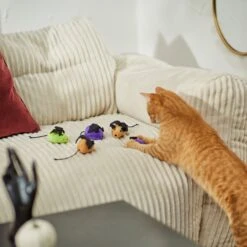 Frisco Halloween Bat Mice Plush Cat Toy With Catnip 6 Frisco Halloween Bat Mice Plush Cat Toy With Catnip -Frisco 270353 PT3. AC SS1800 V1624817260