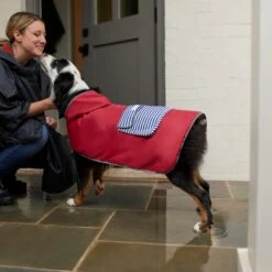 Frisco Lightweight Red Reversible Packable Dog Raincoat -Frisco 315109 PT8. AC SS1800 V1646437779