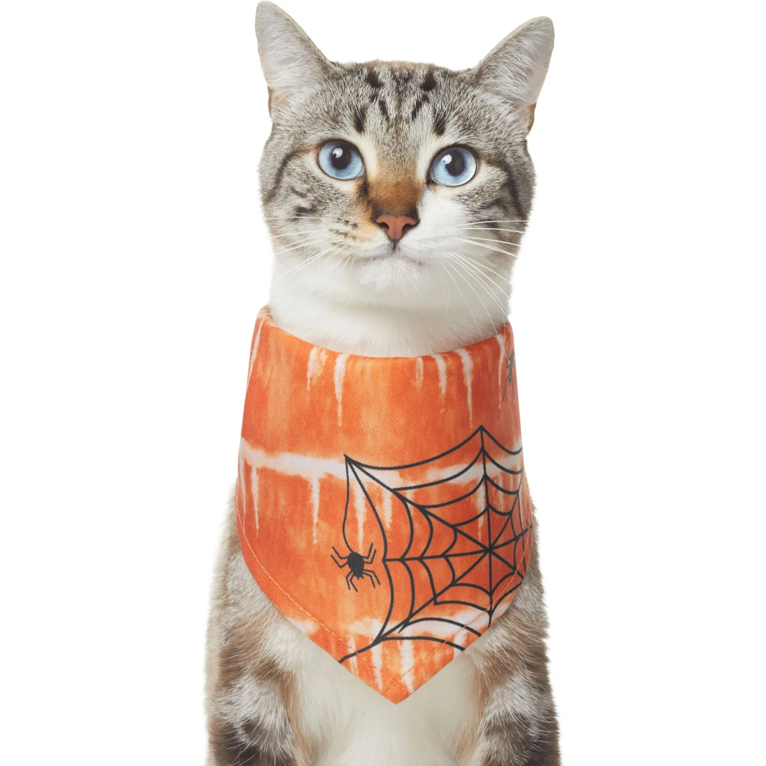 Frisco Orange Spiderweb Dog & Cat Costume Bandana 3 Frisco Orange Spiderweb Dog & Cat Costume Bandana - Image 3