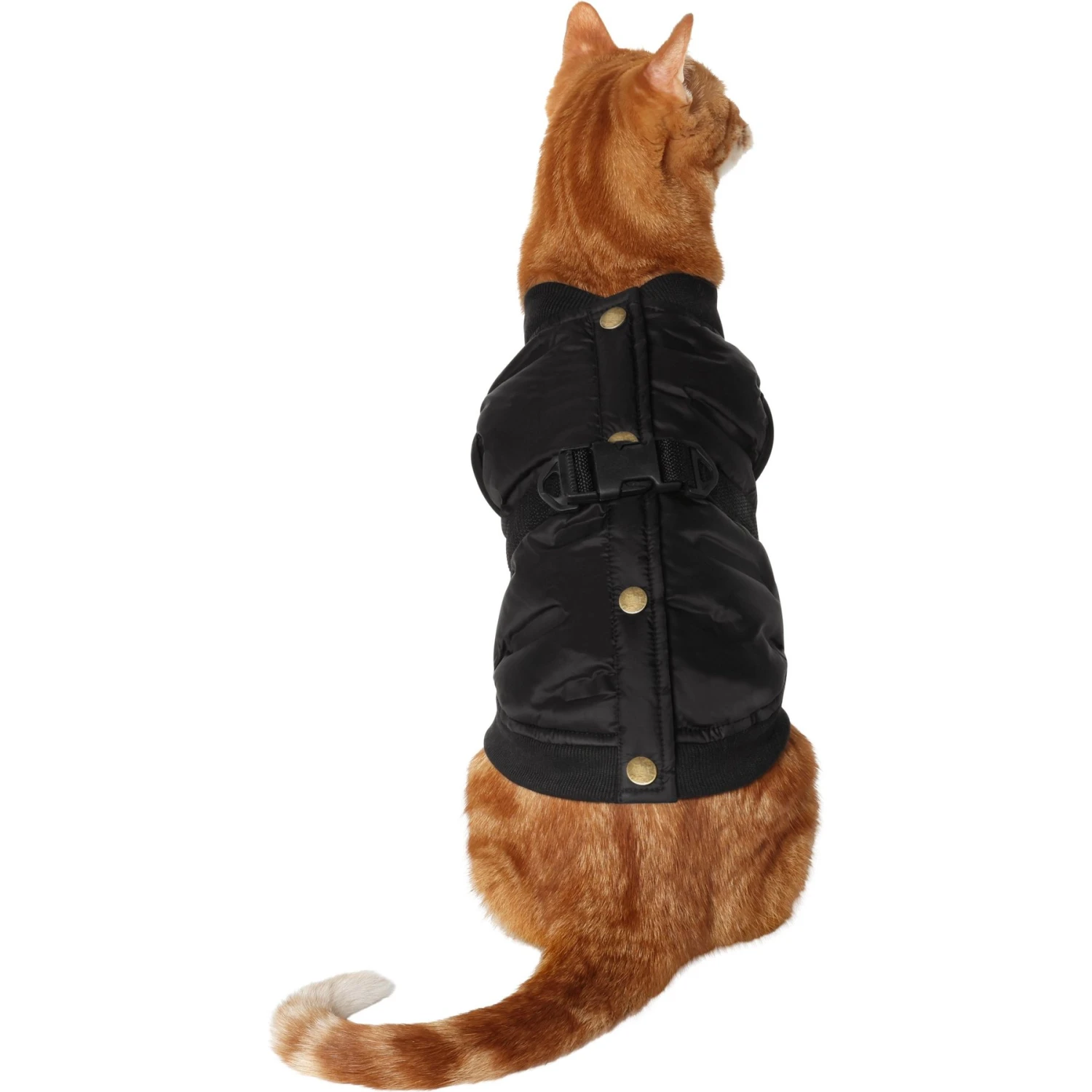 Frisco Lightweight Belted Puffer Dog & Cat Jacket 1 Frisco Lightweight Belted Puffer Dog & Cat Jacket