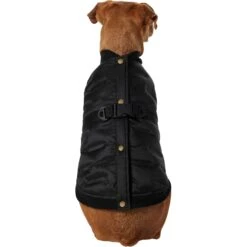 Frisco Lightweight Belted Puffer Dog & Cat Jacket 9 Frisco Lightweight Belted Puffer Dog & Cat Jacket -Frisco 353825 PT2. AC SS1800 V1659010815