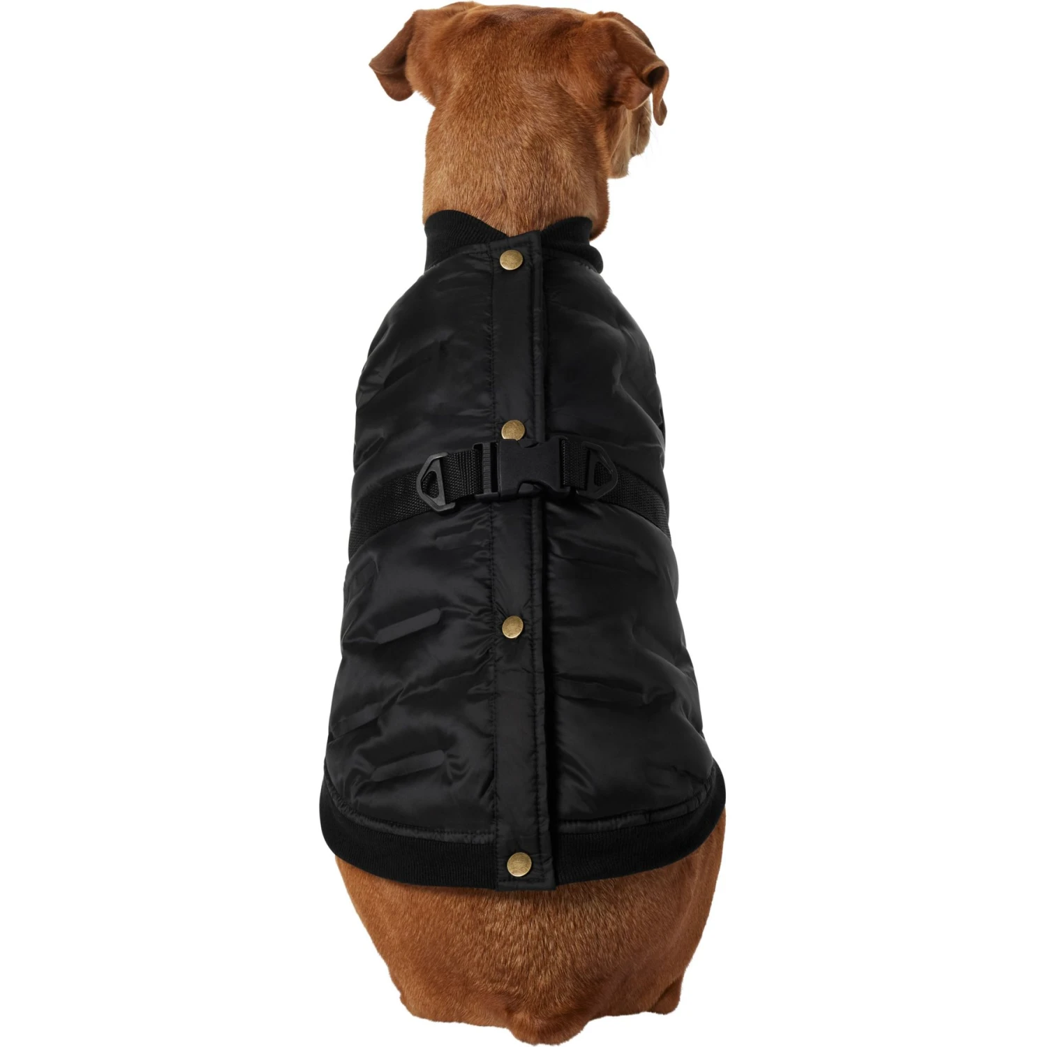 Frisco Lightweight Belted Puffer Dog & Cat Jacket 3 Frisco Lightweight Belted Puffer Dog & Cat Jacket - Image 3