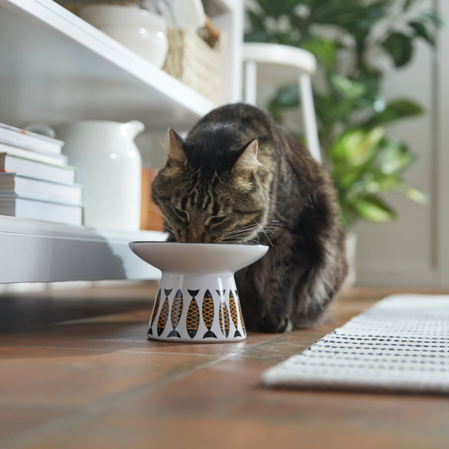 Frisco Cat Face Wide Shape Elevated Non-Skid Ceramic Cat Bowl 3 Frisco Cat Face Wide Shape Elevated Non-Skid Ceramic Cat Bowl - Image 3