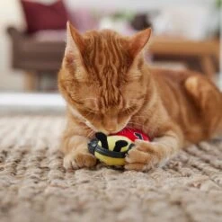 Frisco Valentine Jammin' Ladybug Plush Cat Toy With Catnip 8 Frisco Valentine Jammin' Ladybug Plush Cat Toy With Catnip -Frisco 371081 PT3. AC SS1800 V1668736252