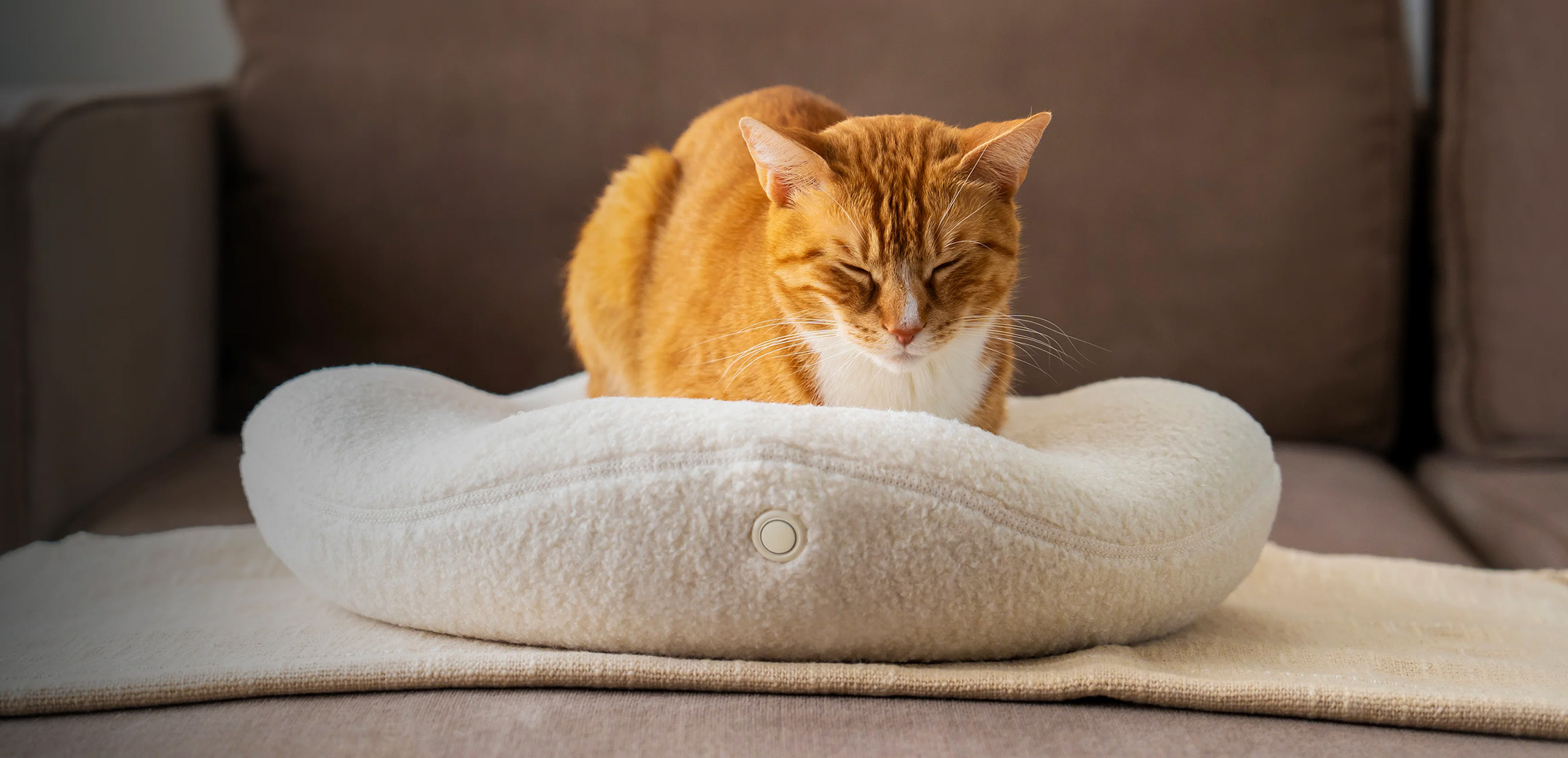 Front Page -Frisco 4