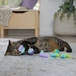 Frisco Fabric & Play Plastic Balls Cat Toy -Frisco 526030 PT3. AC SS1800 V1669148132