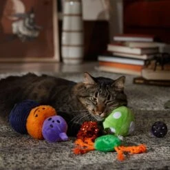 Frisco Halloween Mystical Variety Pack Plush & Balls Cat Toy With Catnip -Frisco 668374 PT3. AC SS1800 V1689282492