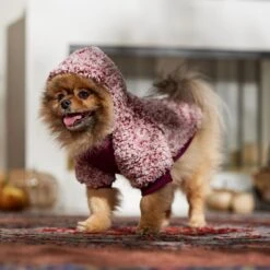 Frisco Textured Wubby 2-Tone Fleece Dog & Cat Hoodie 16 Frisco Textured Wubby 2-Tone Fleece Dog & Cat Hoodie -Frisco 742406 PT7. AC SS1800 V1692378336