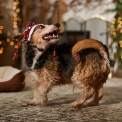 Frisco Nordic Pawprint Dog & Cat Hat -Frisco 746782 PT5. AC SS1800 V1694799891