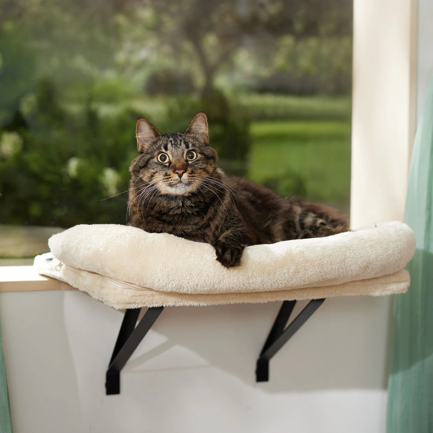 Frisco Plush Cat Window Perch With Removeable Bolster 1 Frisco Plush Cat Window Perch With Removeable Bolster